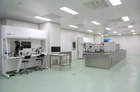 国内同性恋试管试管代怀生孩子费用详情（同性恋试管受孕成功率）